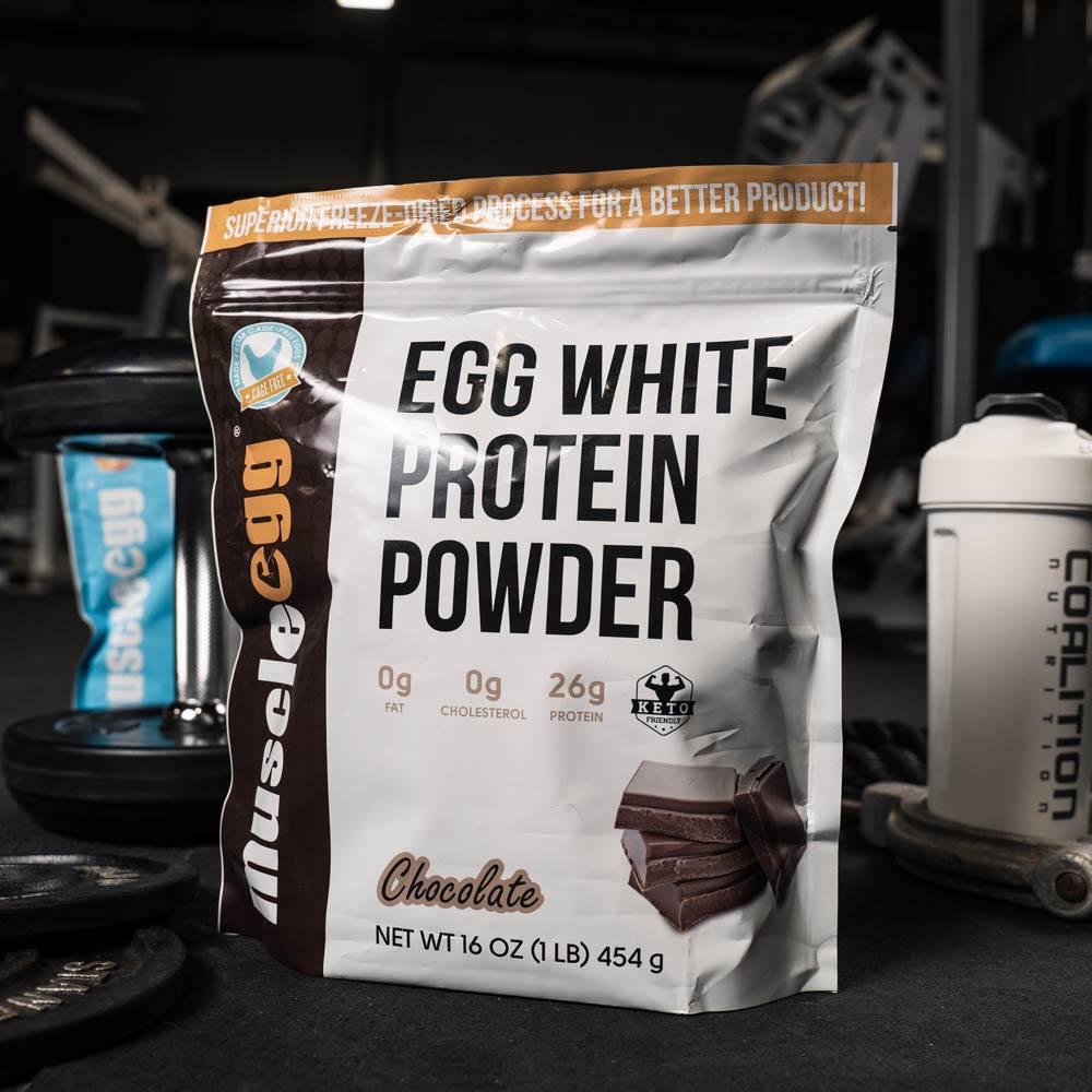 Chocolate Muscle Egg, Egg White Protein Powder Coalition Nutrition 